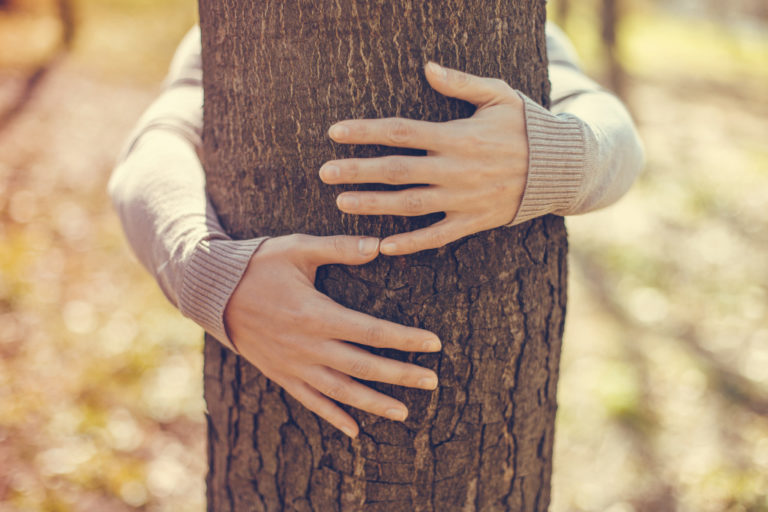 Close-up of hands hugging tree