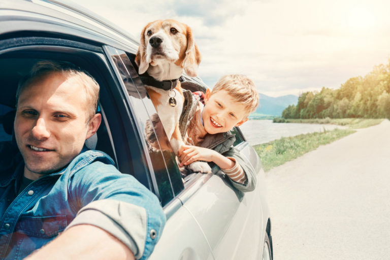 pet travel with kids
