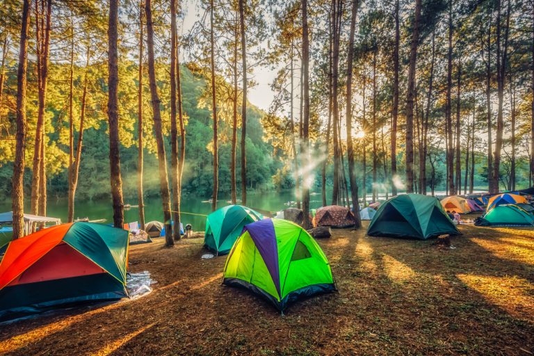 bunch of camping tents in a forest camping ground