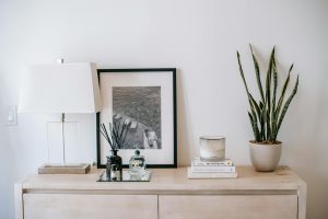 do snake plants need light